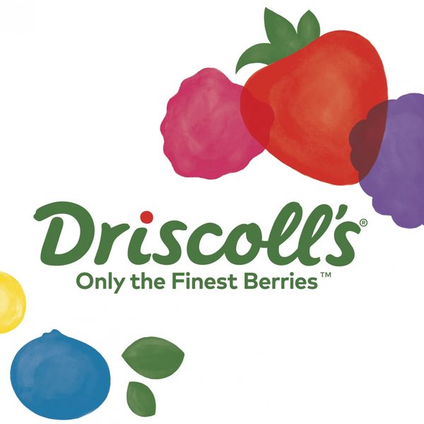 Driscoll`s - office & warehouse Spain